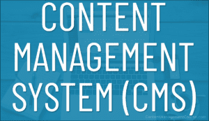 Content Management System (CMS)