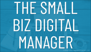 The Small Business Digital Manager