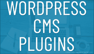 WordPress CMS Plugins