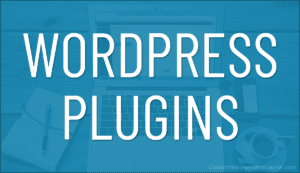 WordPress Plugins